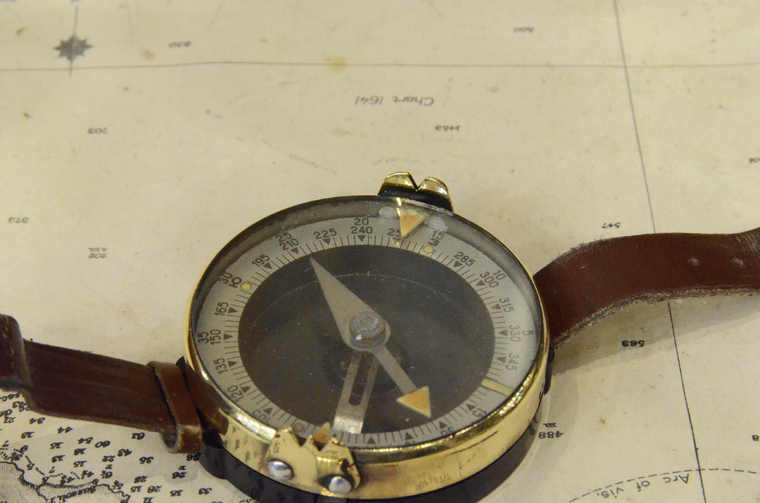 Antique compasses/7520-Wrist Compass