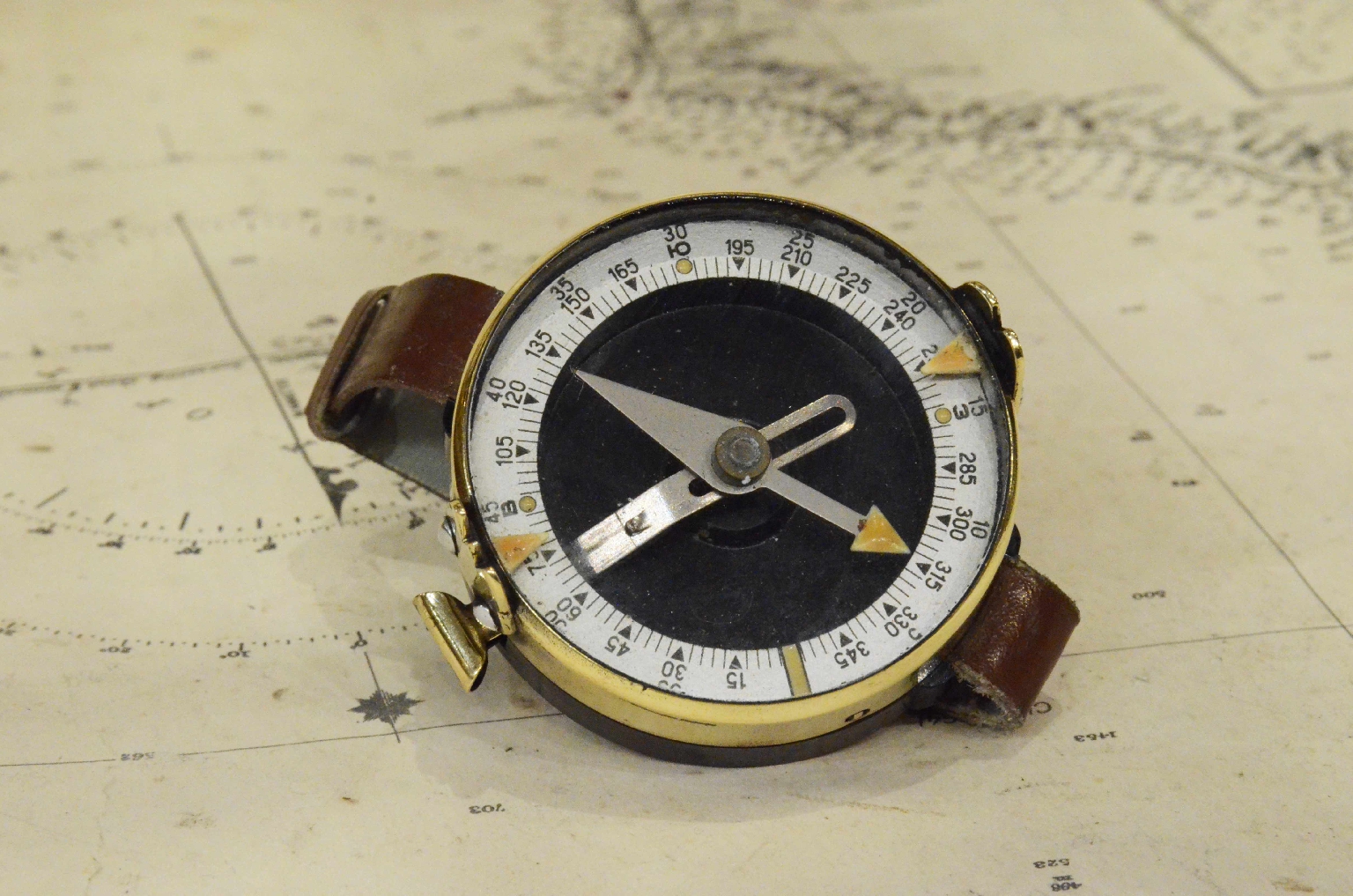 Antique compasses/7520-Wrist Compass