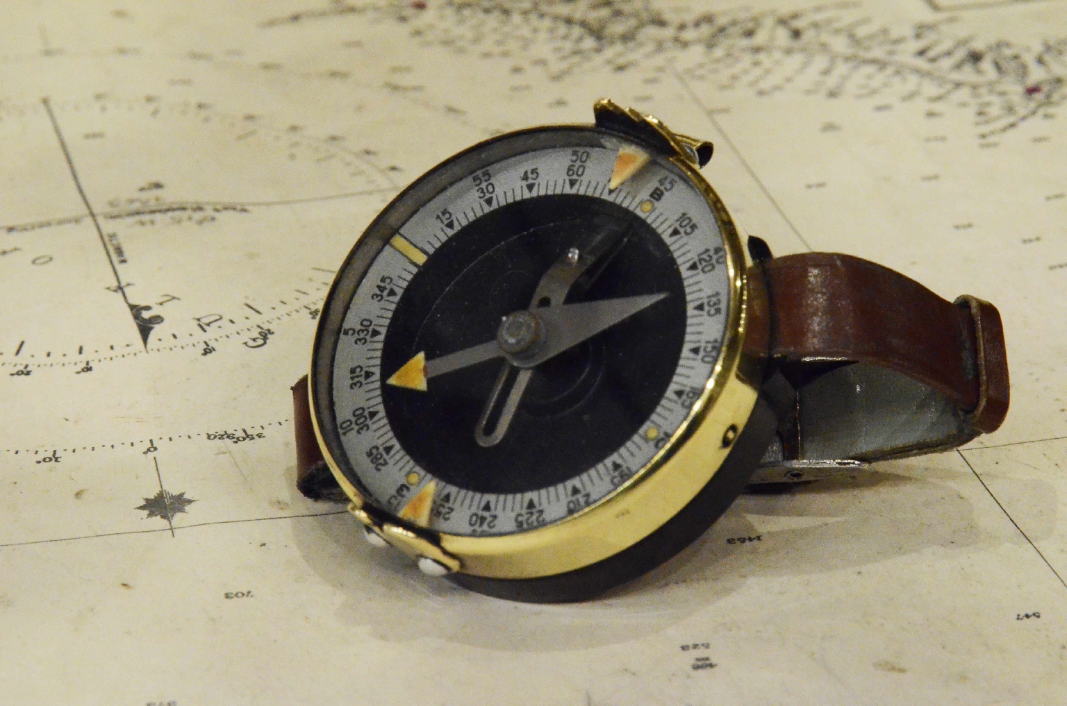 Antique compasses/7520-Wrist Compass