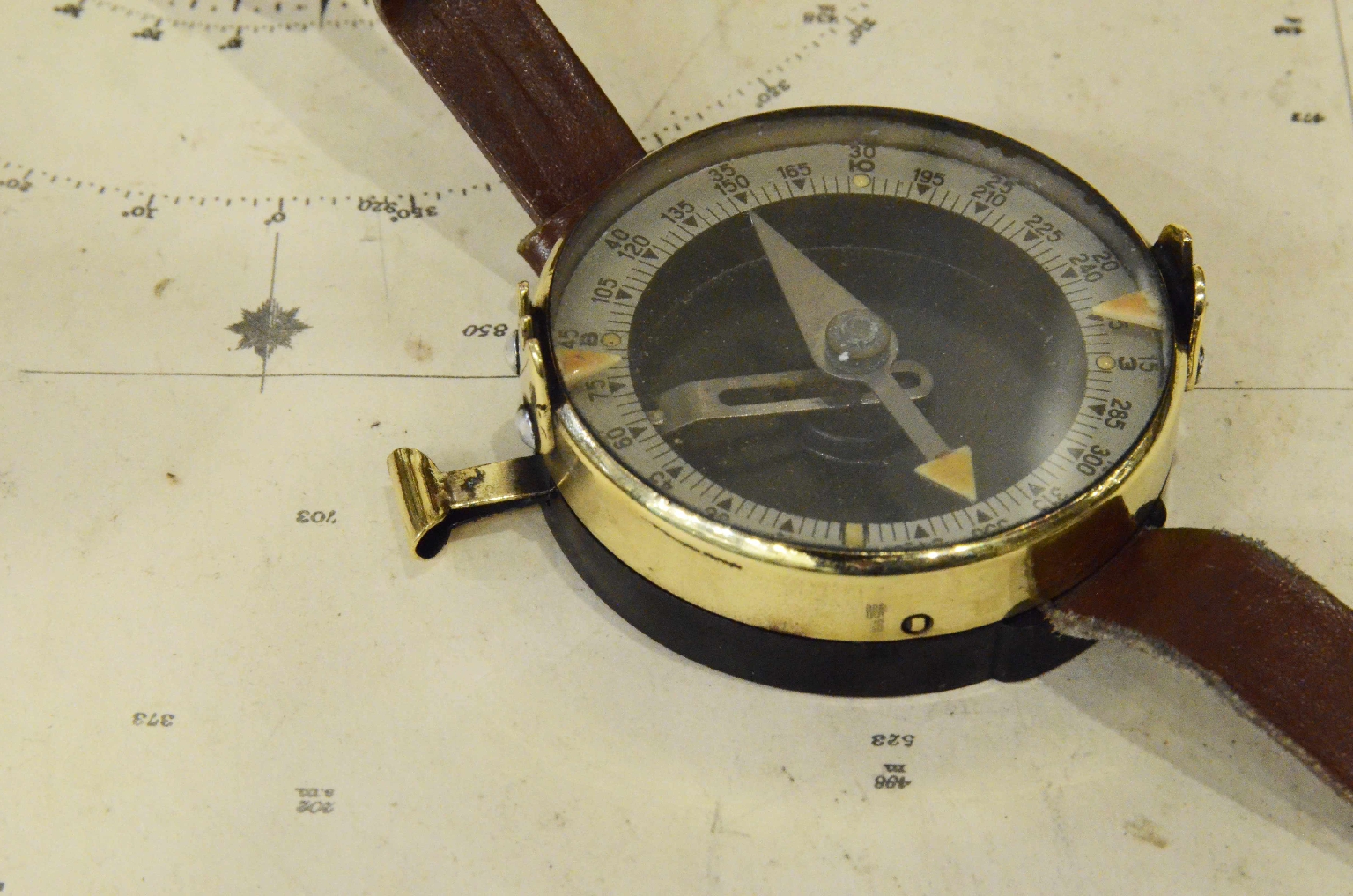 Antique compasses/7520-Wrist Compass