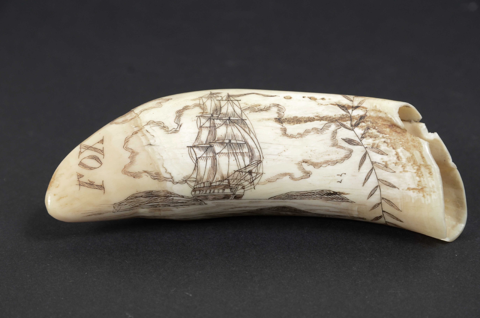 Antiquariato nautico/7772-Scrimshaw