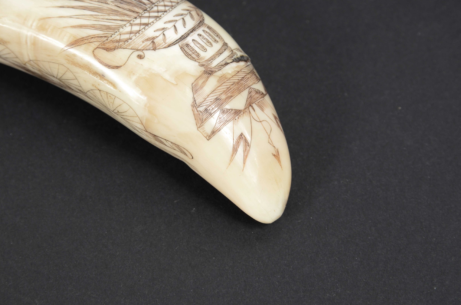 Antiquariato nautico/7772-Scrimshaw