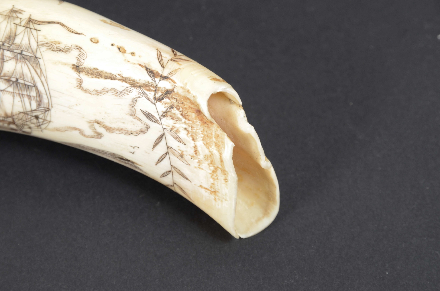 Antiquariato nautico/7772-Scrimshaw