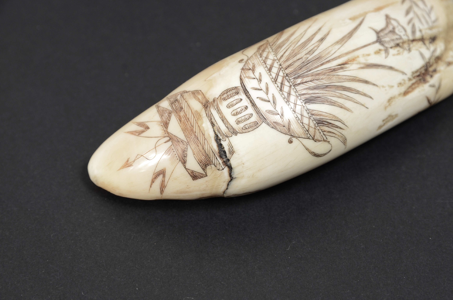 Antiquariato nautico/7772-Scrimshaw