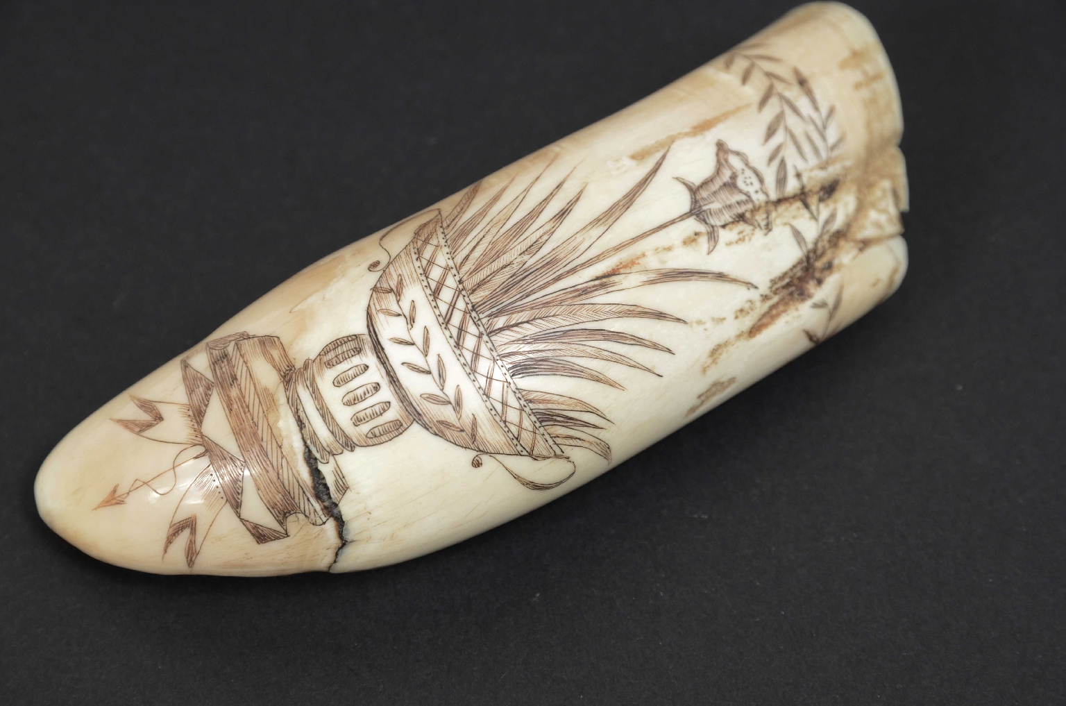 Antiquariato nautico/7772-Scrimshaw