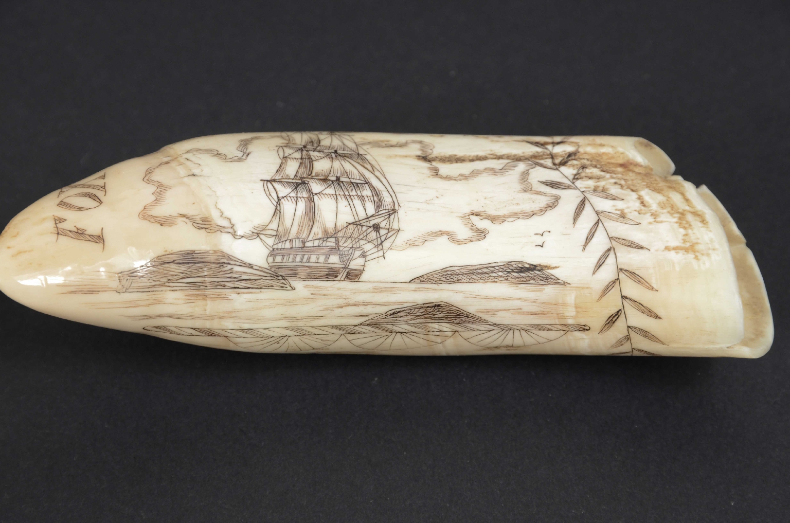 Antiquariato nautico/7772-Scrimshaw