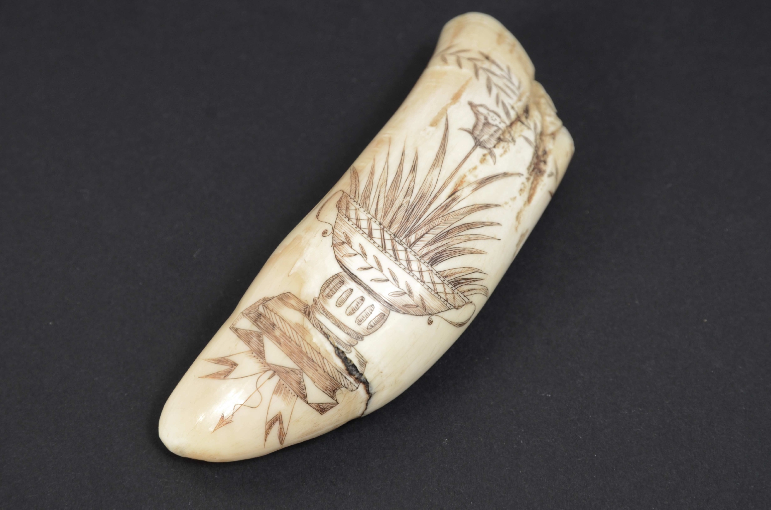 Antiquariato nautico/7772-Scrimshaw