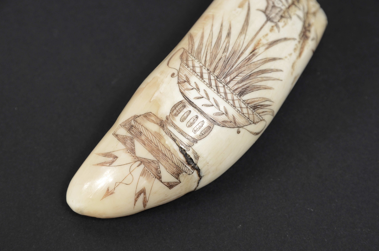 Antiquariato nautico/7772-Scrimshaw