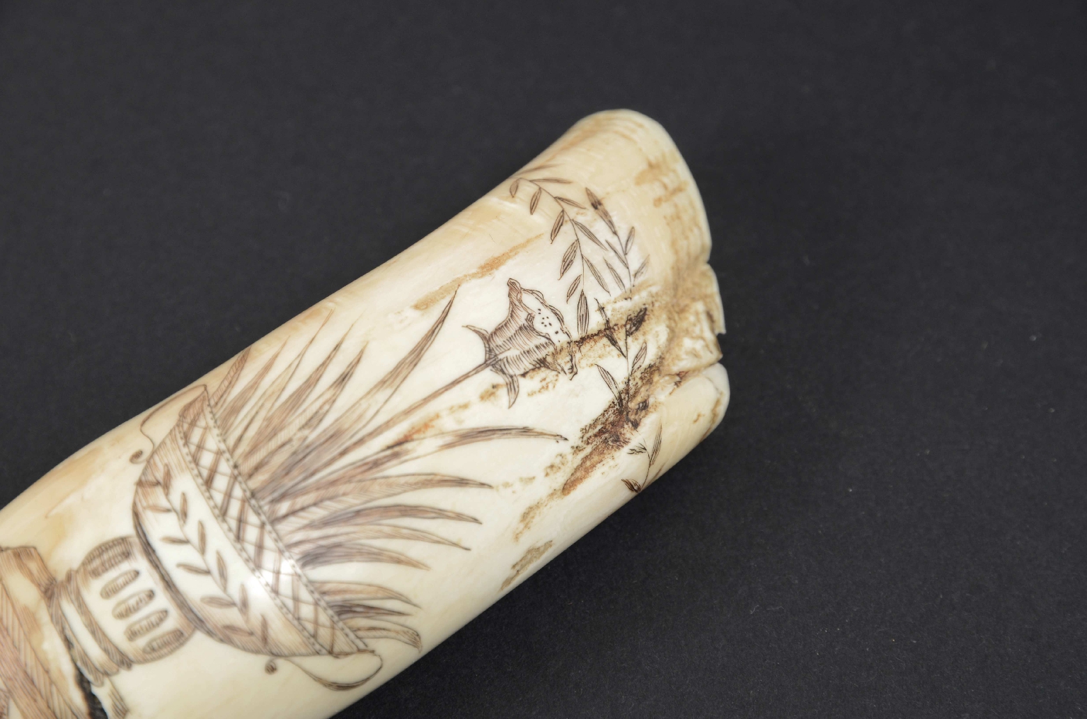 Antiquariato nautico/7772-Scrimshaw