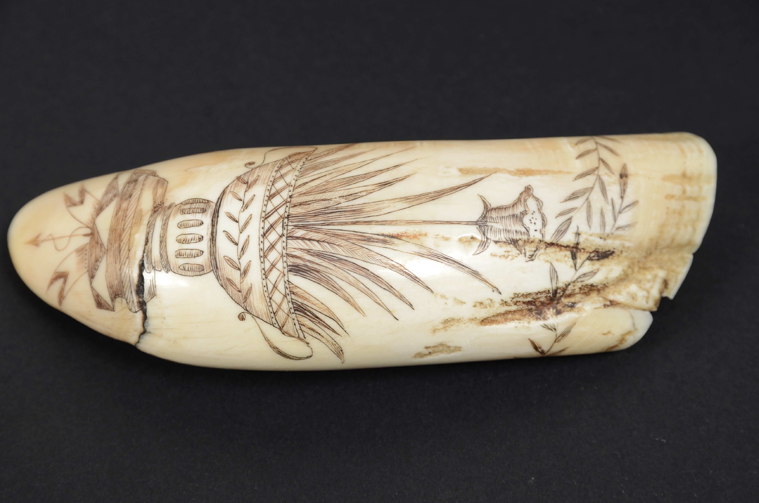 Antiquariato nautico/7772-Scrimshaw