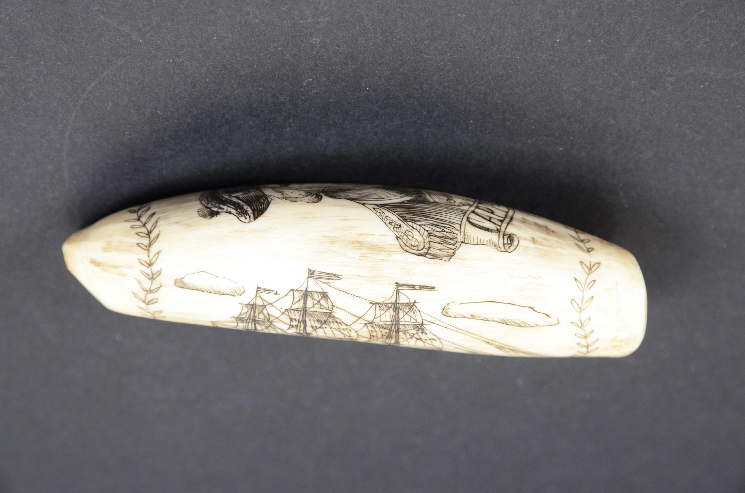 e-Shop/Antiquariato nautico/Cod. 7781 Scrimshaw