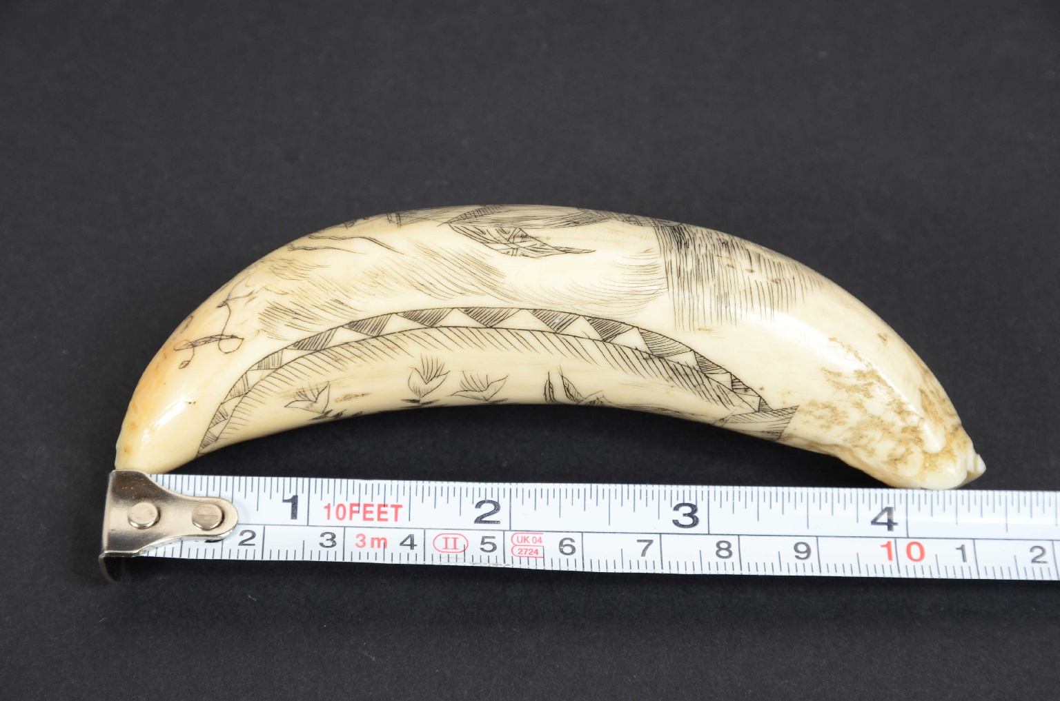 Antiquariato nautico/7782-Scrimshaw