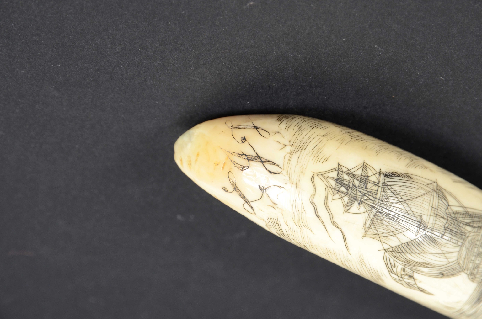 Antiquariato nautico/7782-Scrimshaw