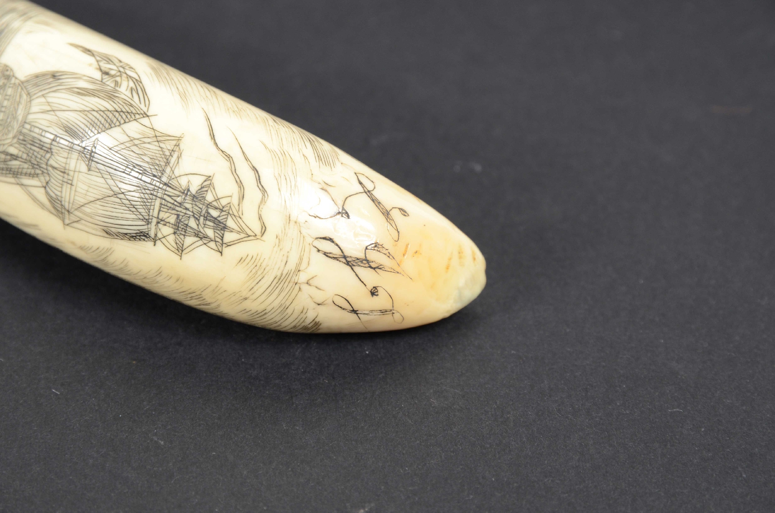 Antiquariato nautico/7782-Scrimshaw