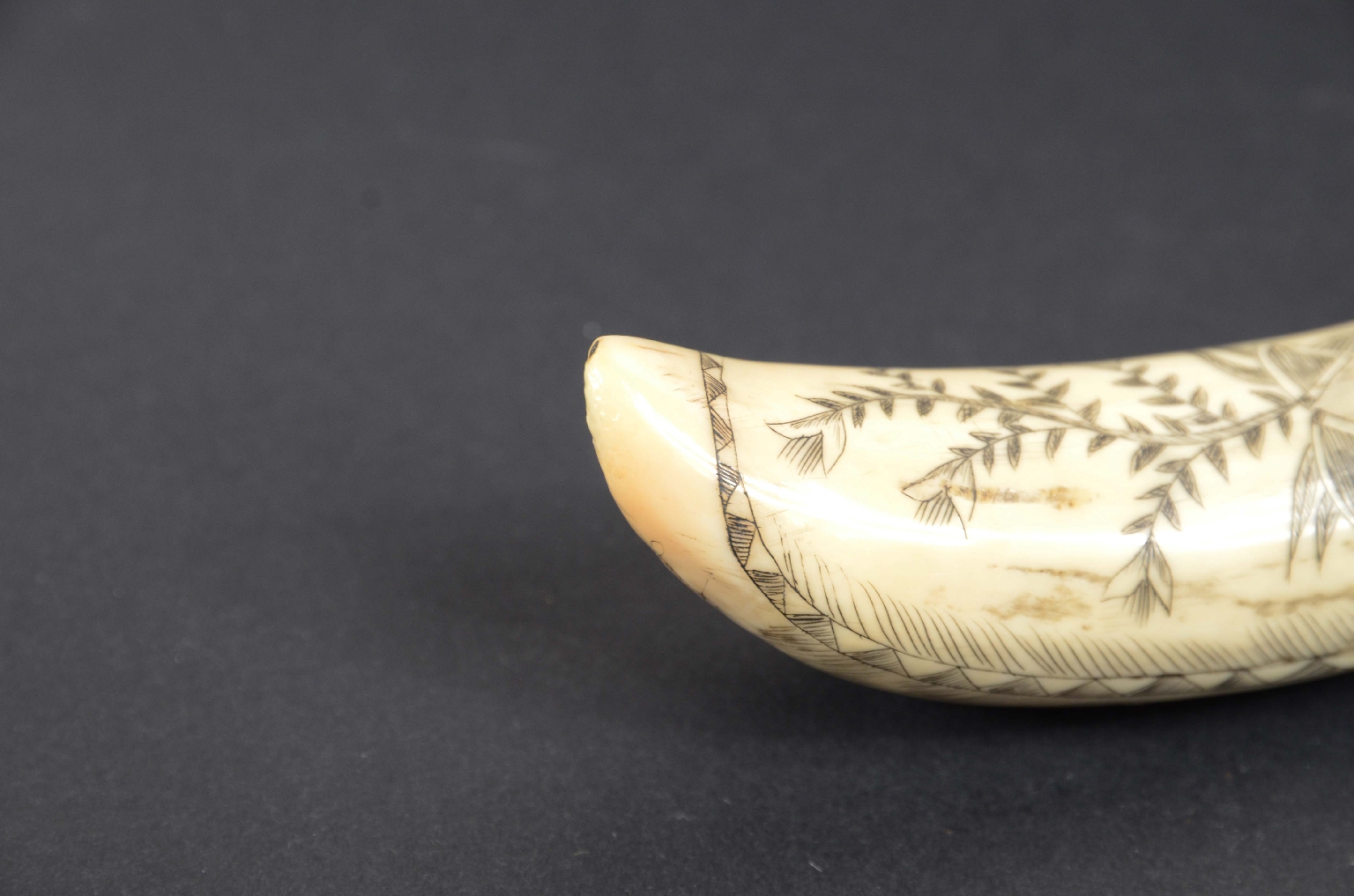 Antiquariato nautico/7782-Scrimshaw