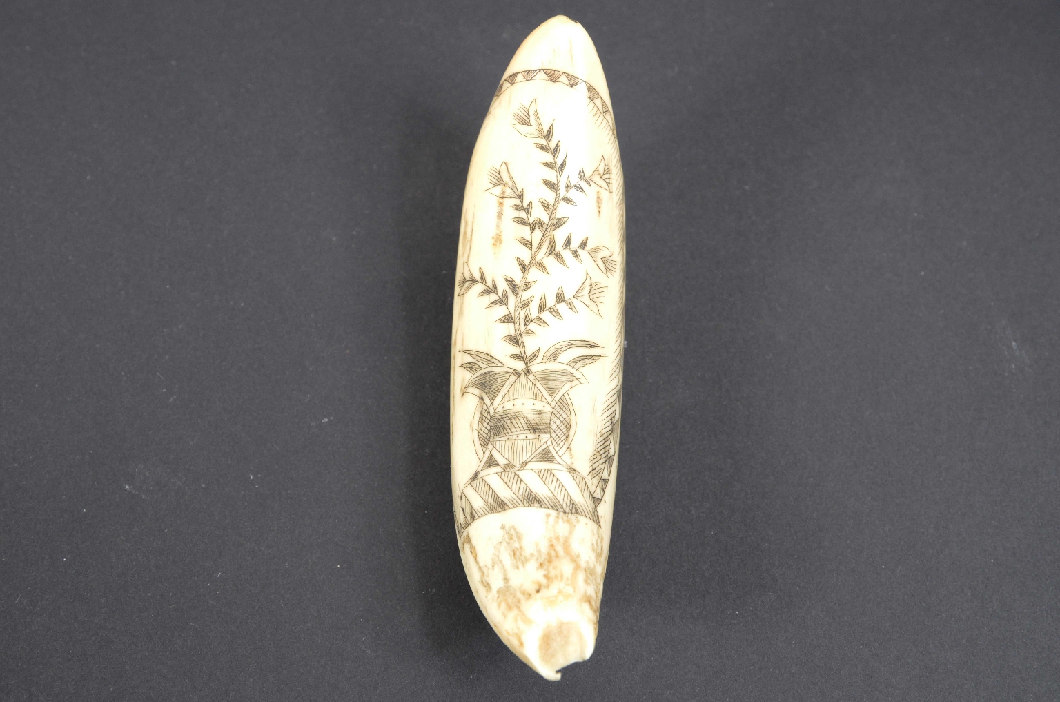 Antiquariato nautico/7782-Scrimshaw