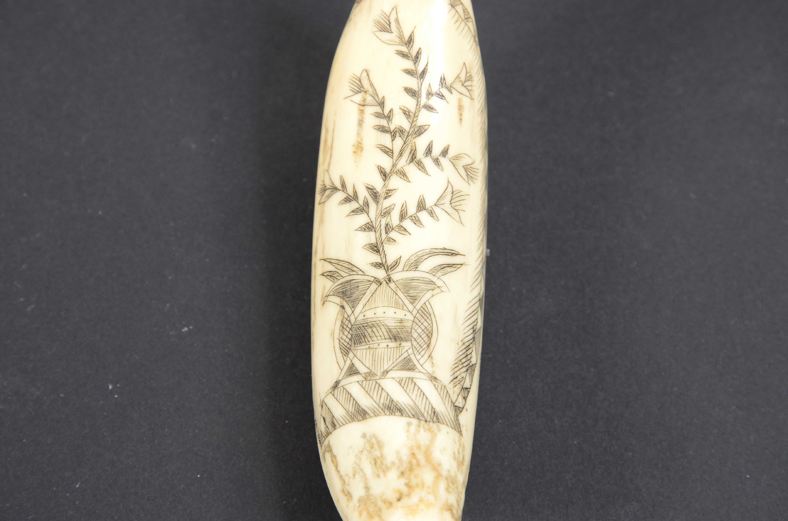 Antiquariato nautico/7782-Scrimshaw