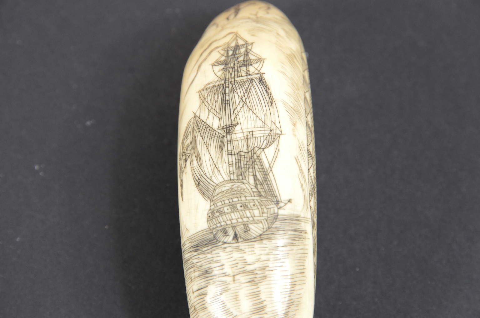 Antiquariato nautico/7782-Scrimshaw