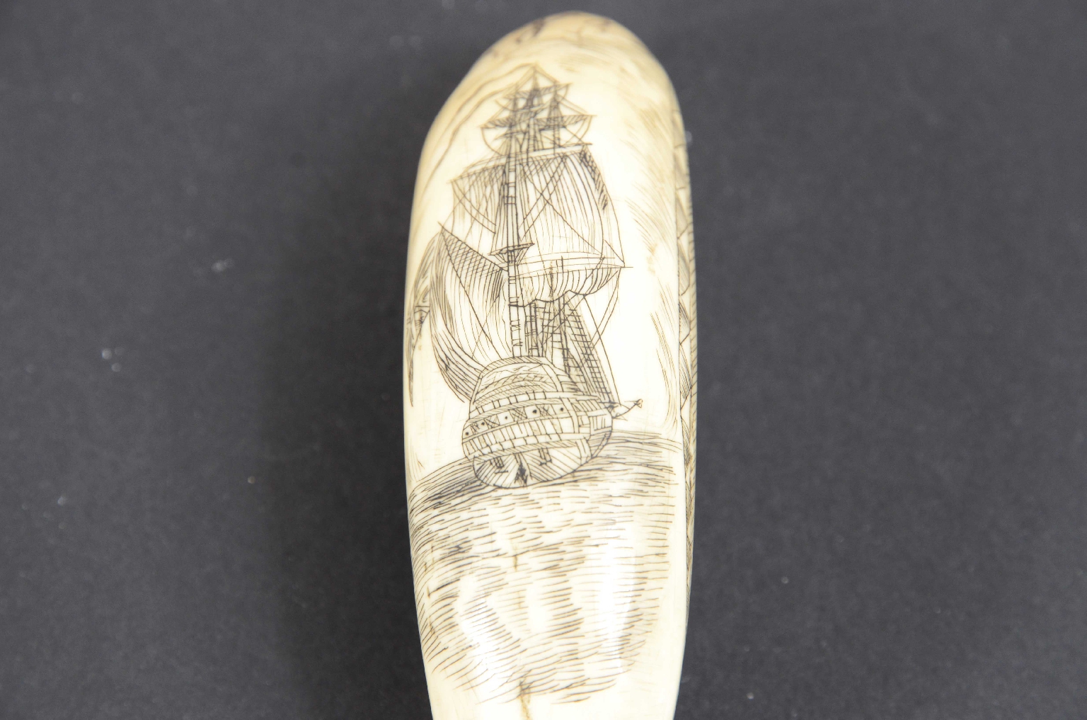 Antiquariato nautico/7782-Scrimshaw