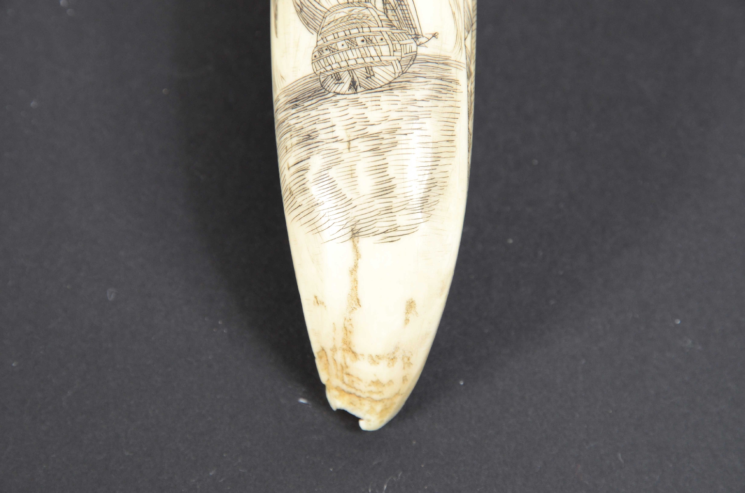 Antiquariato nautico/7782-Scrimshaw