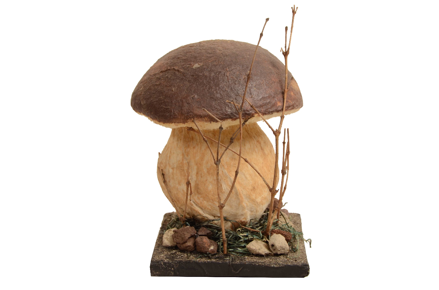 Natural history/7914-Model Porcini