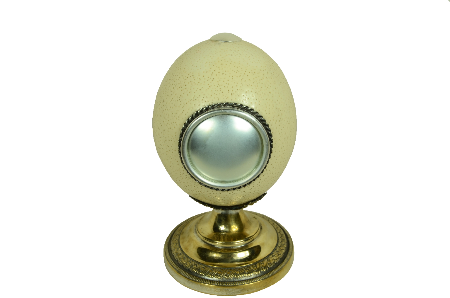 Storia naturale/7967-Uovo di Struzzo