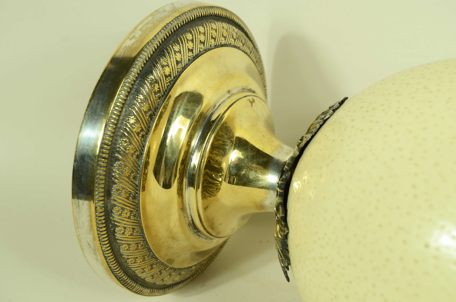 Storia naturale/7967-Uovo di Struzzo