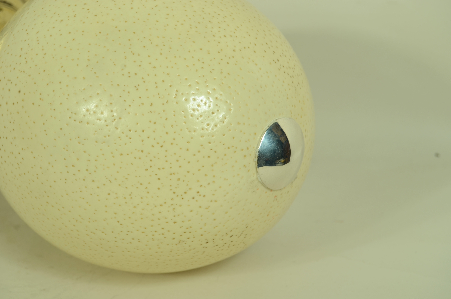 Storia naturale/7967-Uovo di Struzzo