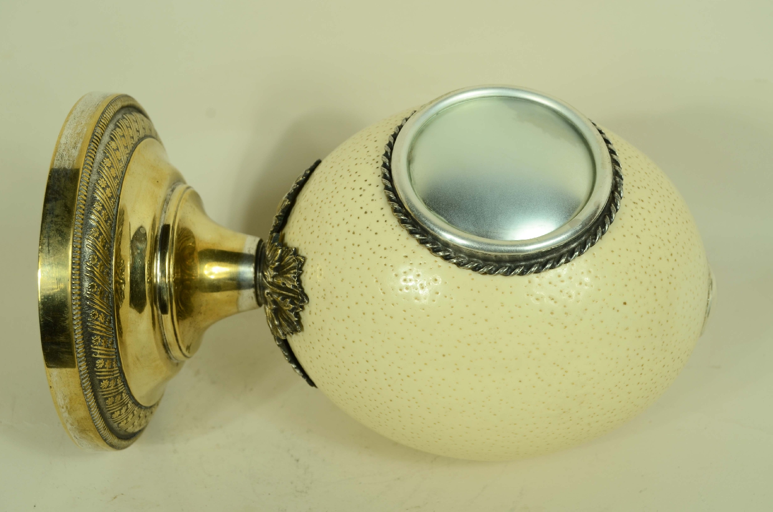 Storia naturale/7967-Uovo di Struzzo