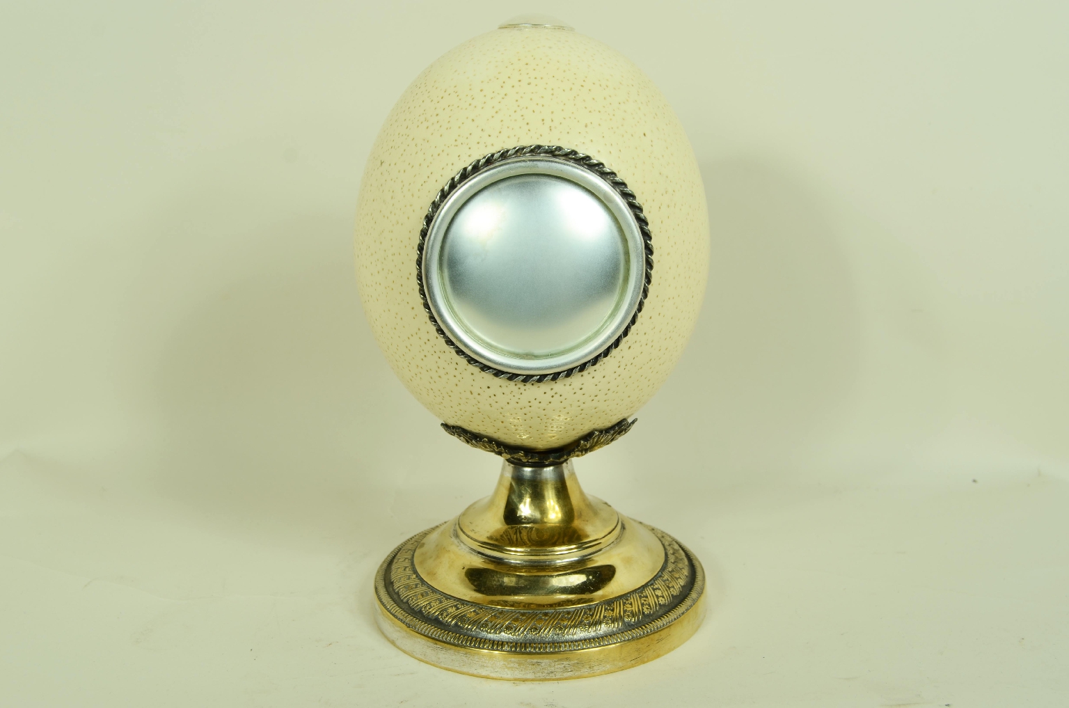 Storia naturale/7967-Uovo di Struzzo