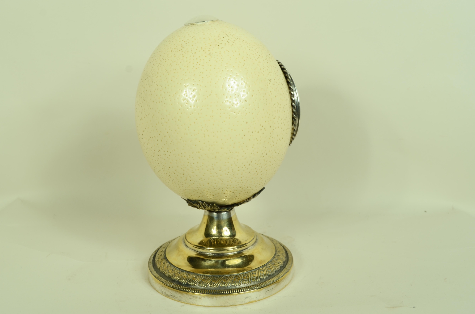 Storia naturale/7967-Uovo di Struzzo