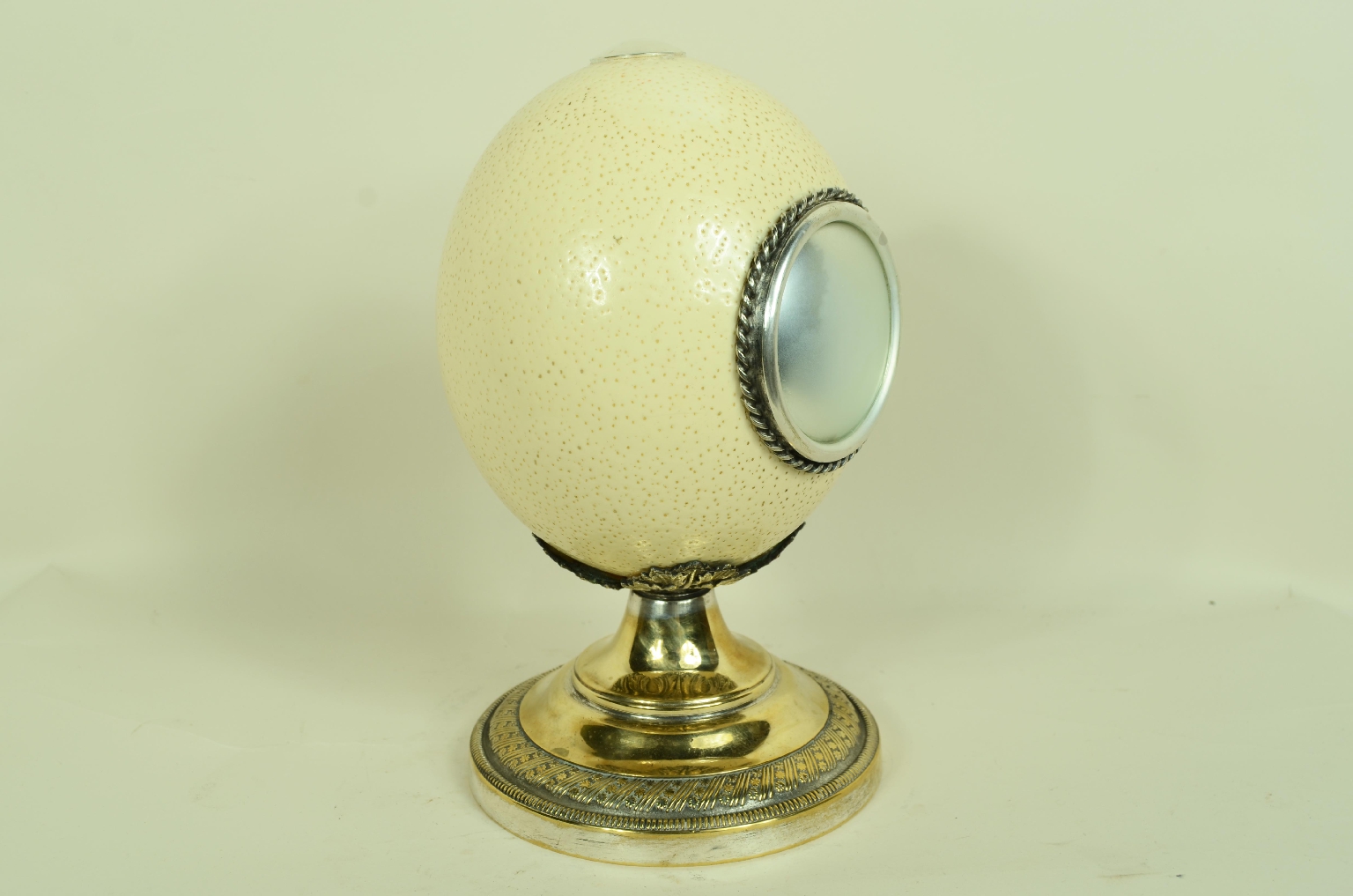 Storia naturale/7967-Uovo di Struzzo