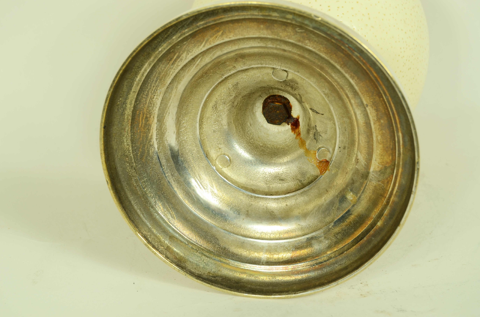 Storia naturale/7967-Uovo di Struzzo