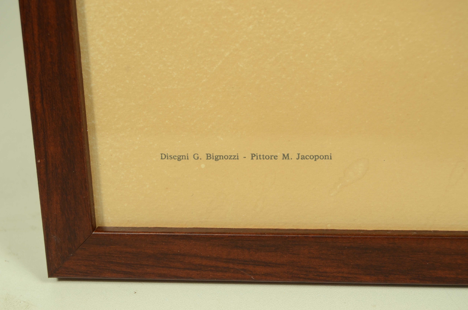 Aerei d’epoca/8162-Stampa a Colori