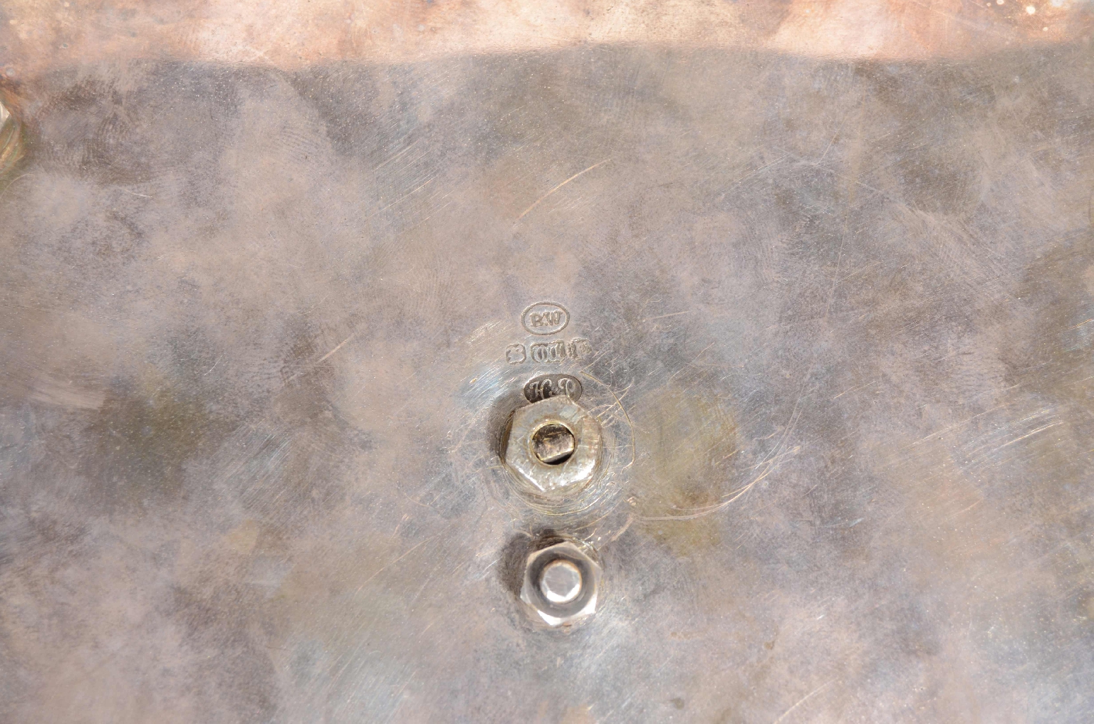 Natural history/8310-Wunderkammer Inkwell