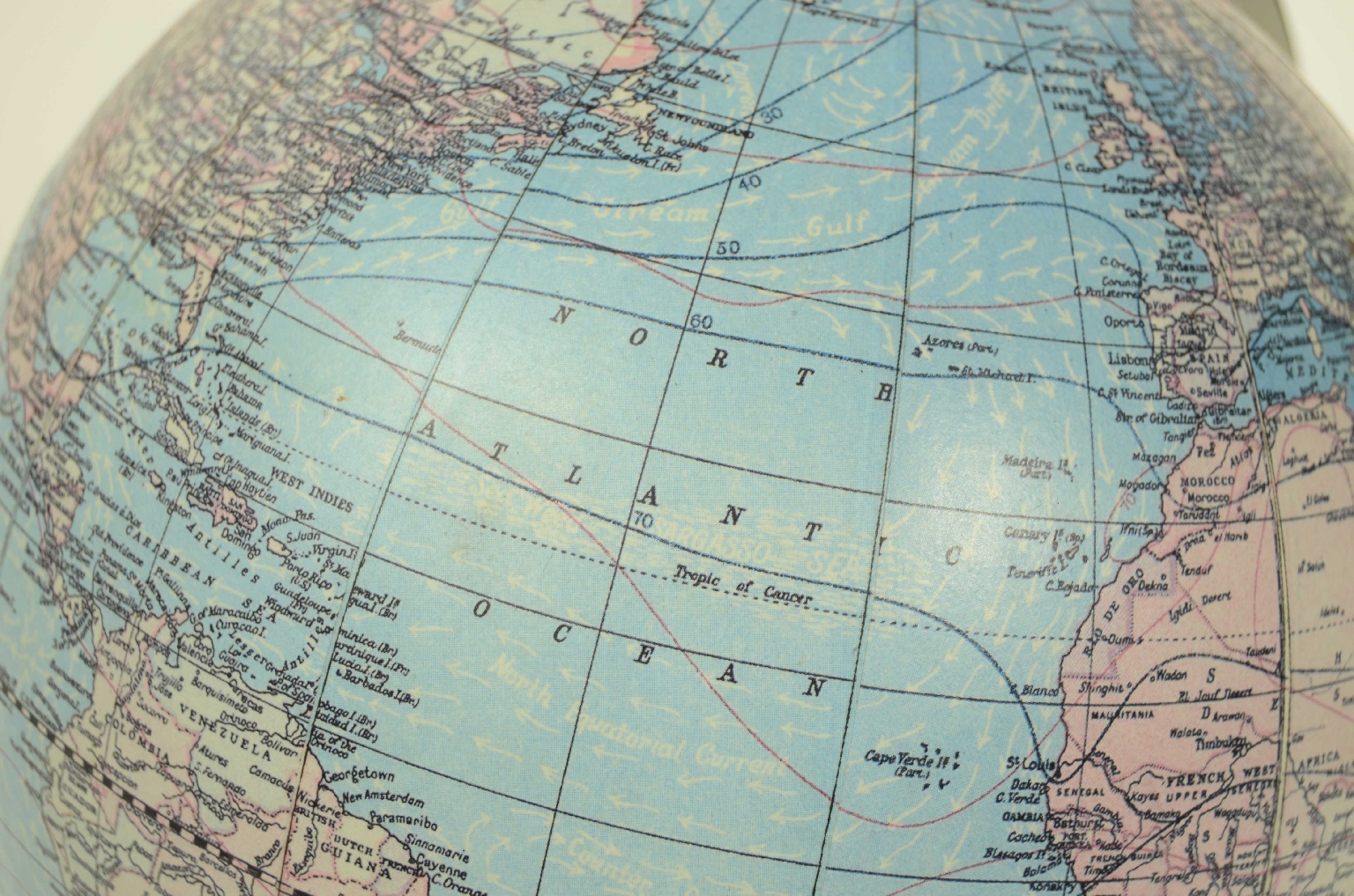 Antique globes-world maps/8338-Terrestrial Globe