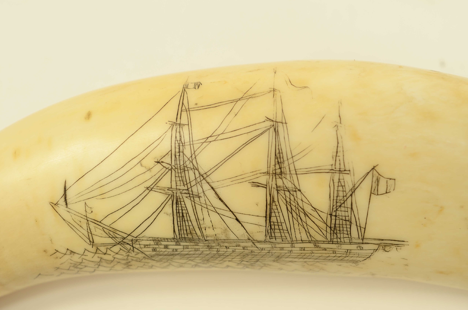Nautical antiques/8570-Scrimshaw