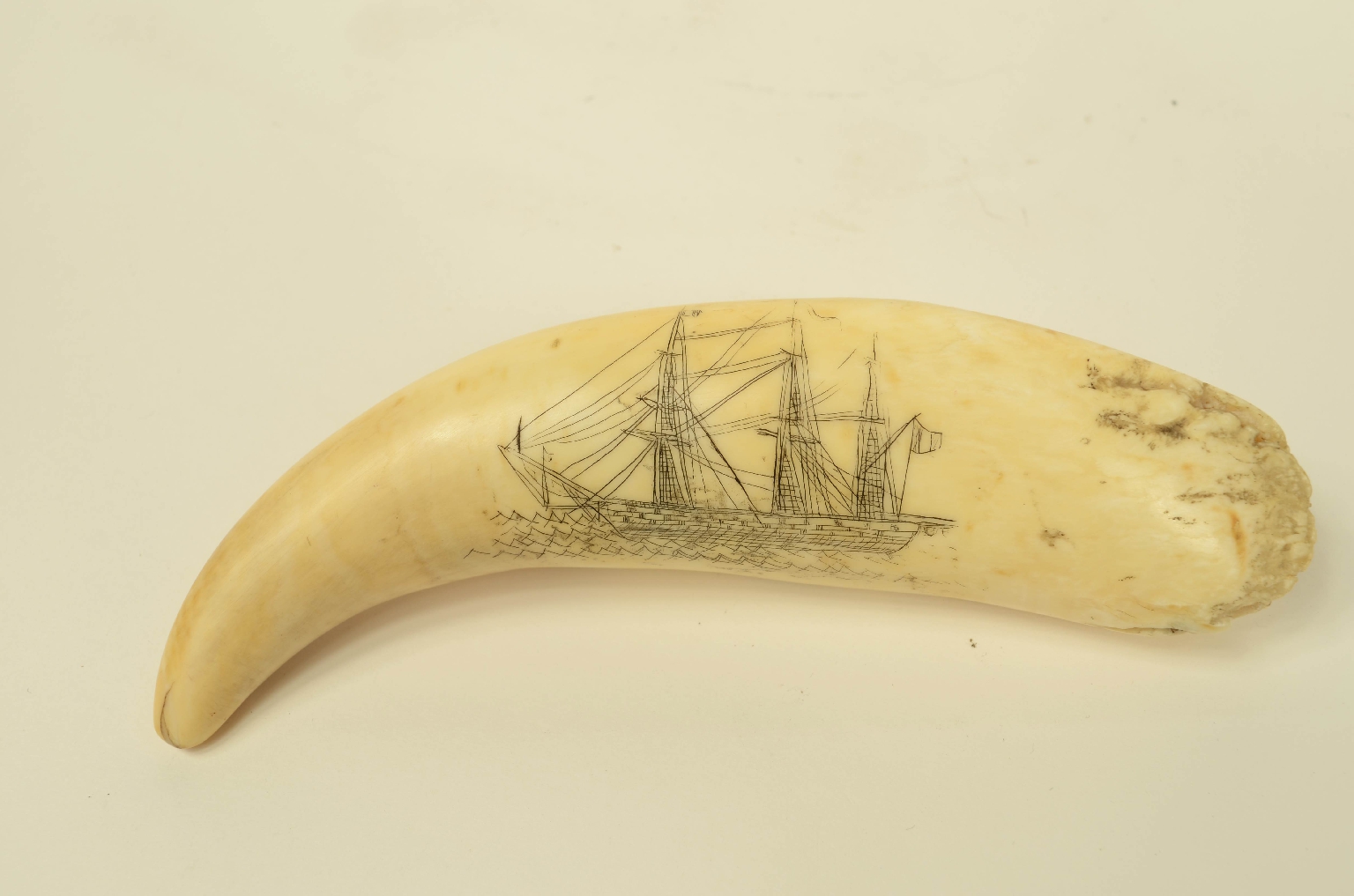 Nautical antiques/8570-Scrimshaw