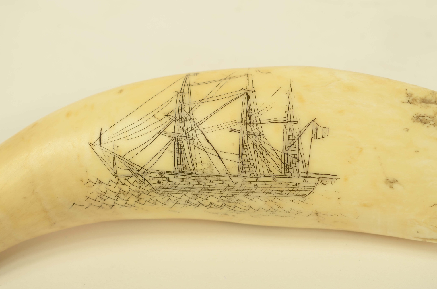 Nautical antiques/8570-Scrimshaw
