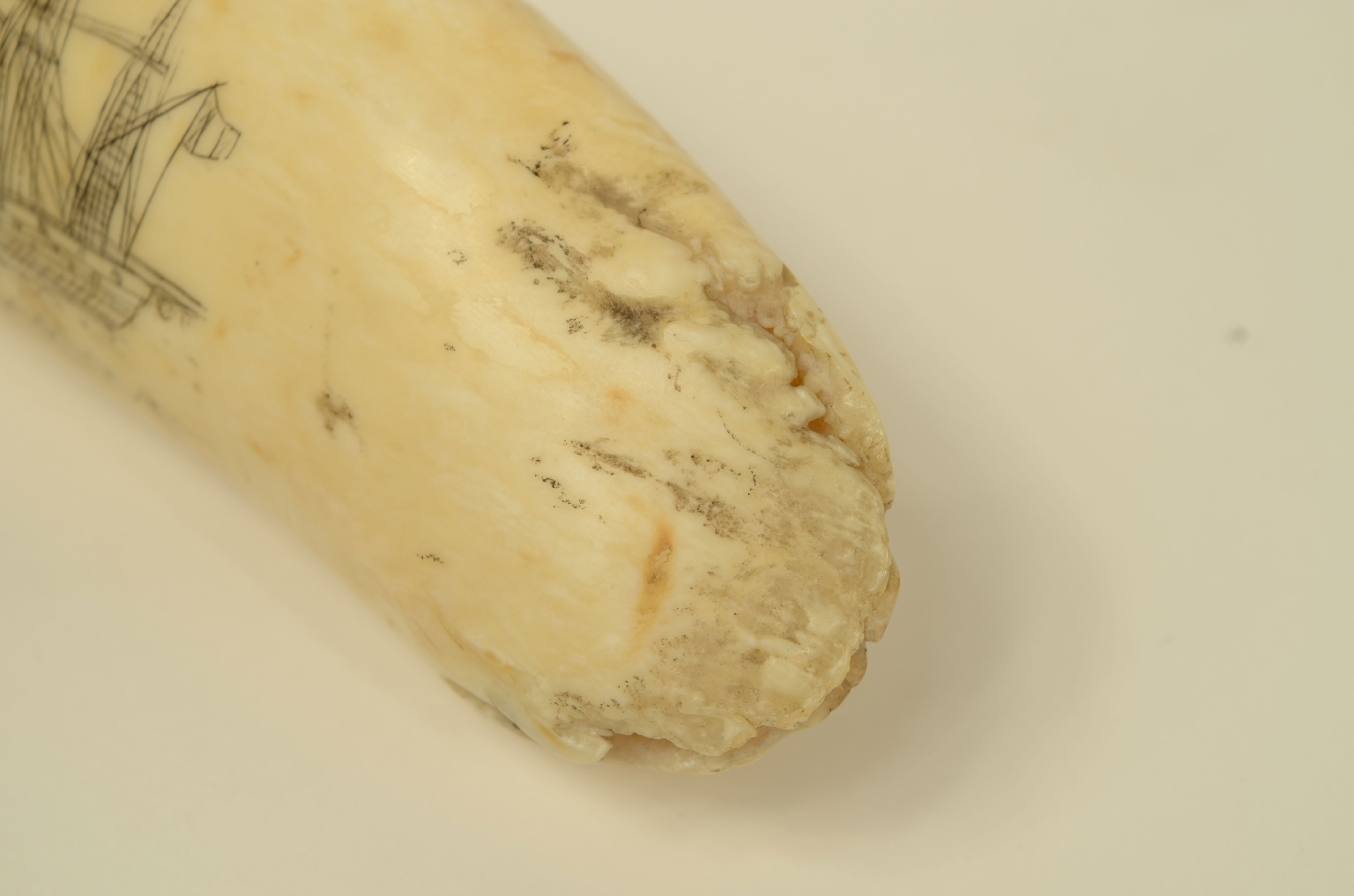 Nautical antiques/8570-Scrimshaw