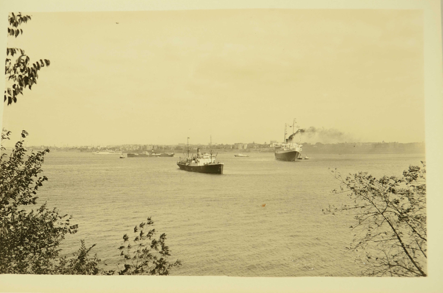 SS REX/R139-REX Photo