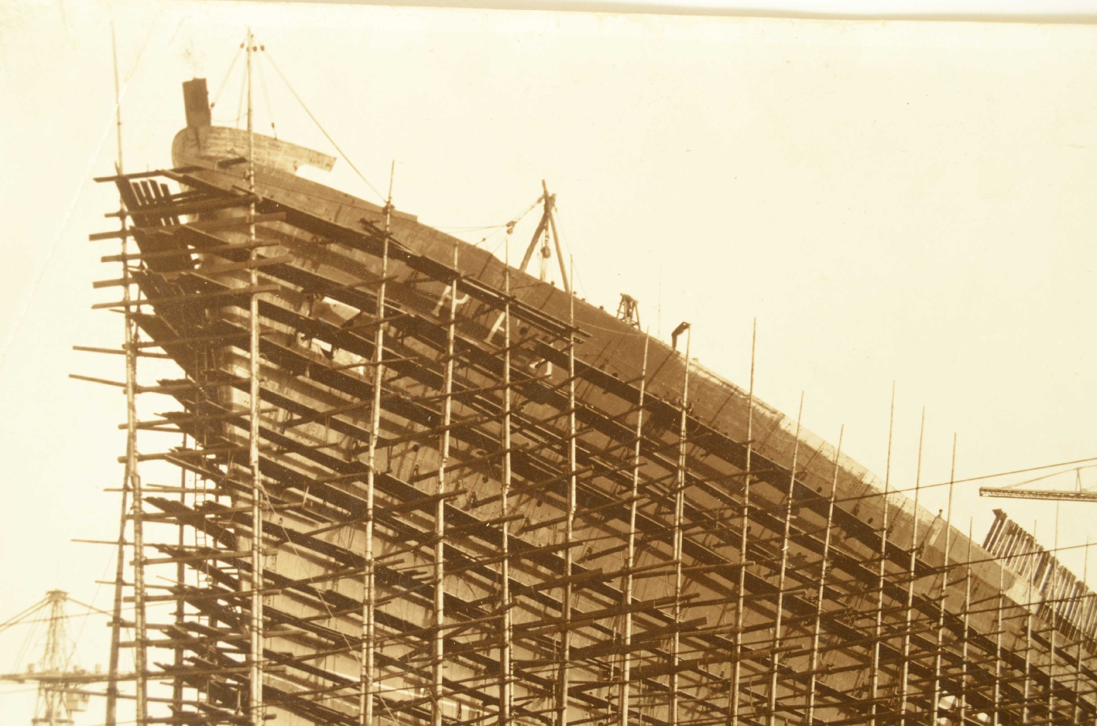 SS REX/R2-Large Photo