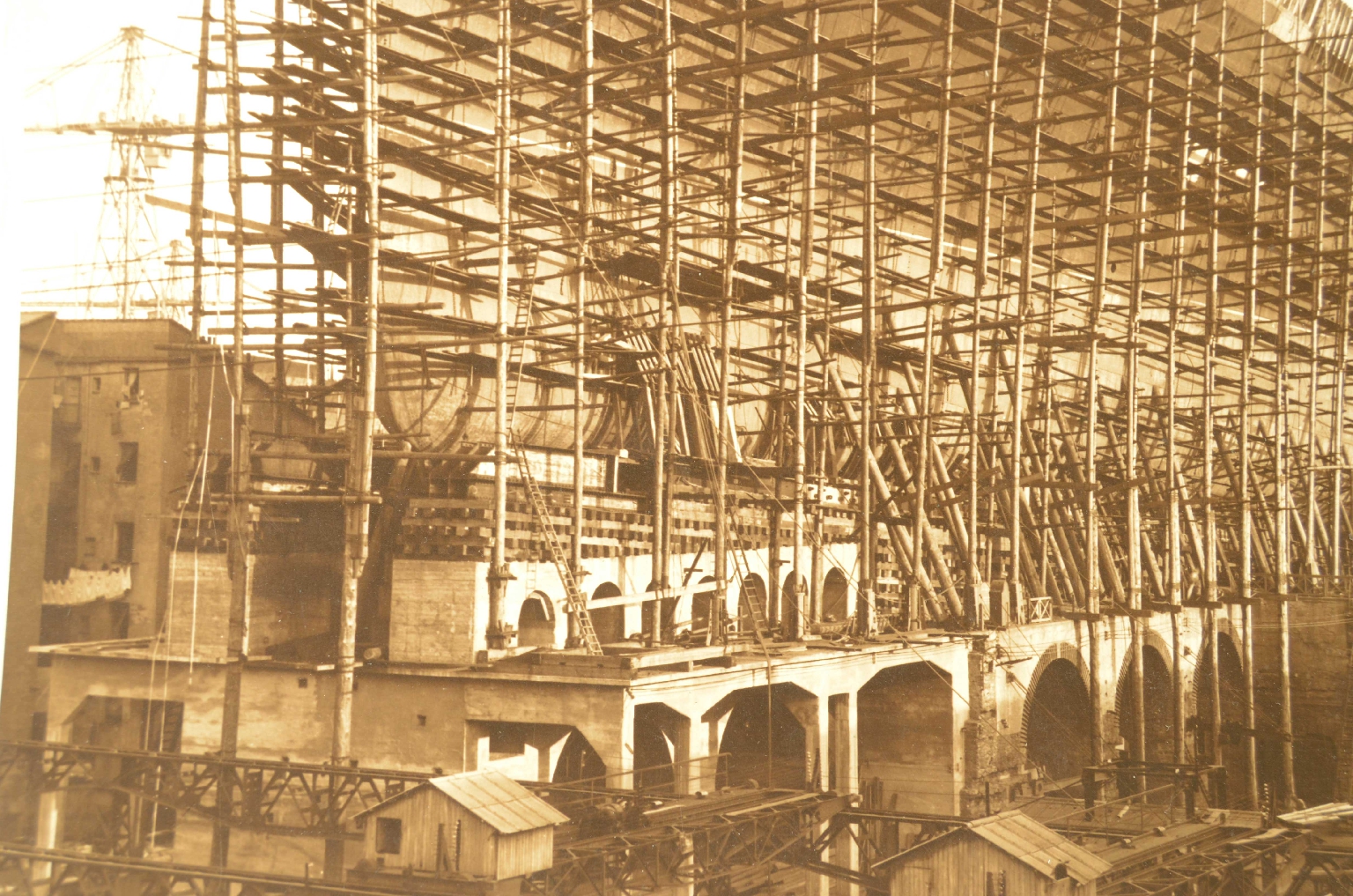 SS REX/R2-Large Photo