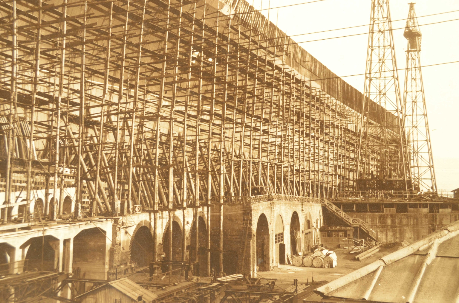 SS REX/R2-Large Photo