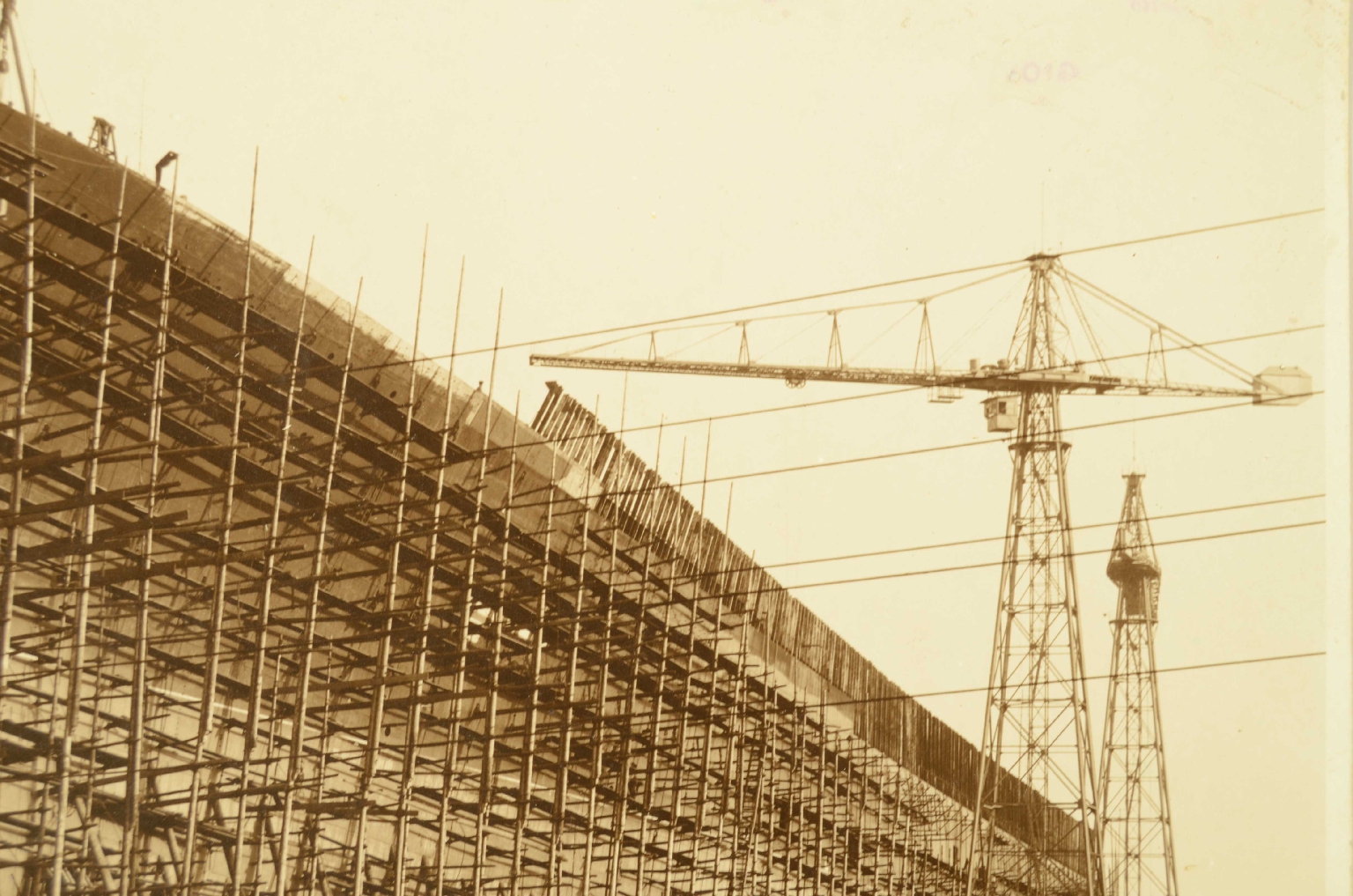 SS REX/R2-Large Photo