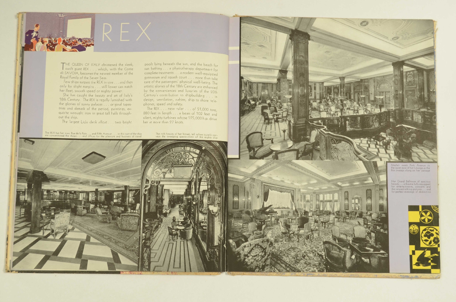 Peculiarity/R364-Brochure