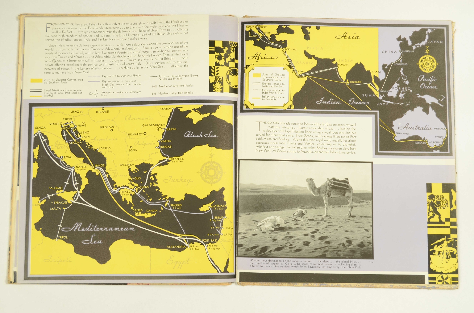 Peculiarity/R364-Brochure