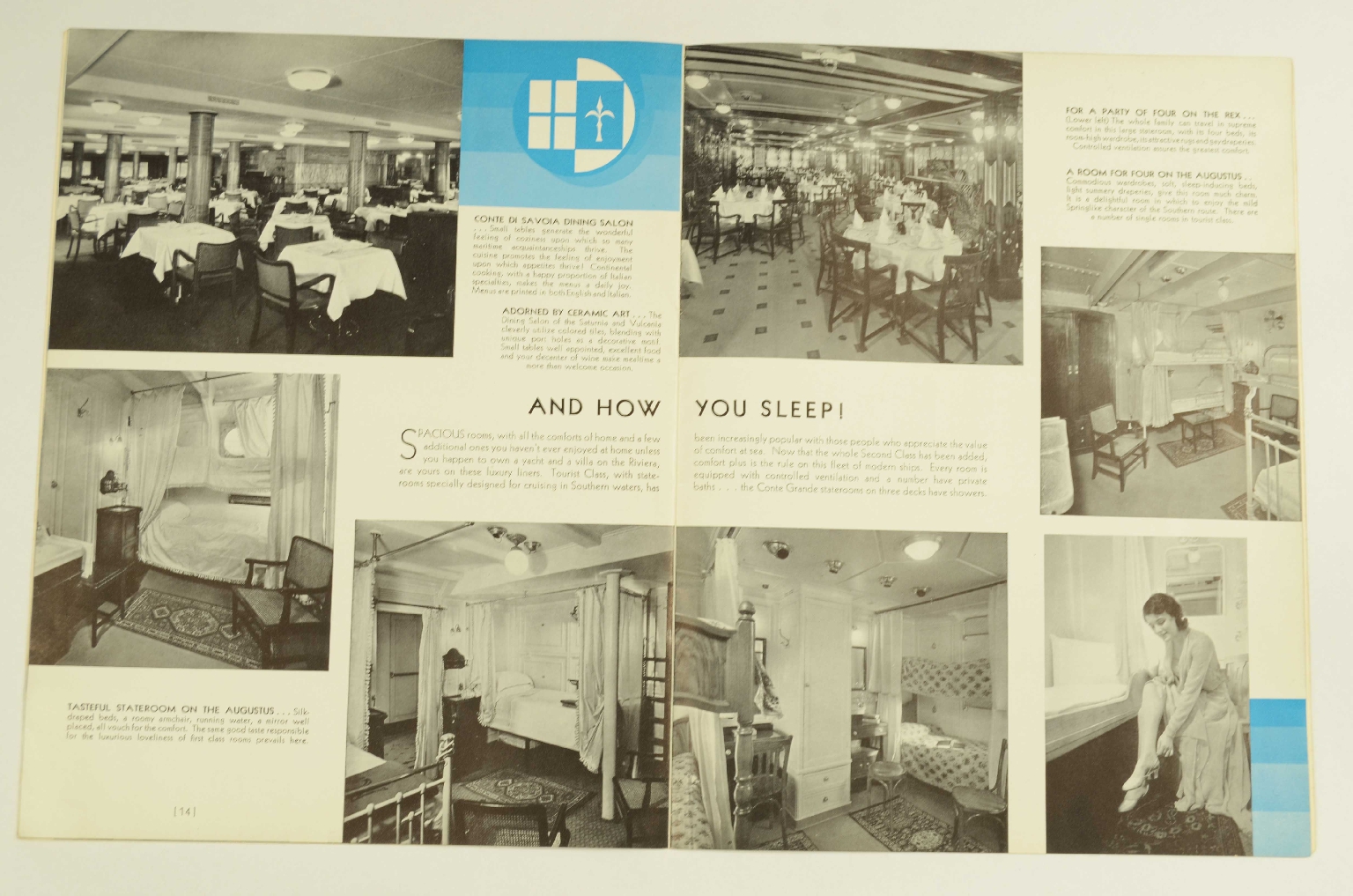 SS REX/R367-Brochure