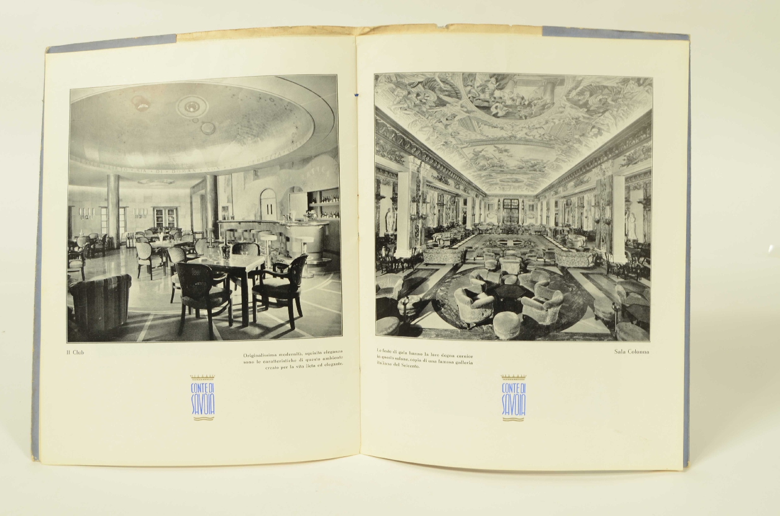 SS REX/R556-Brochure