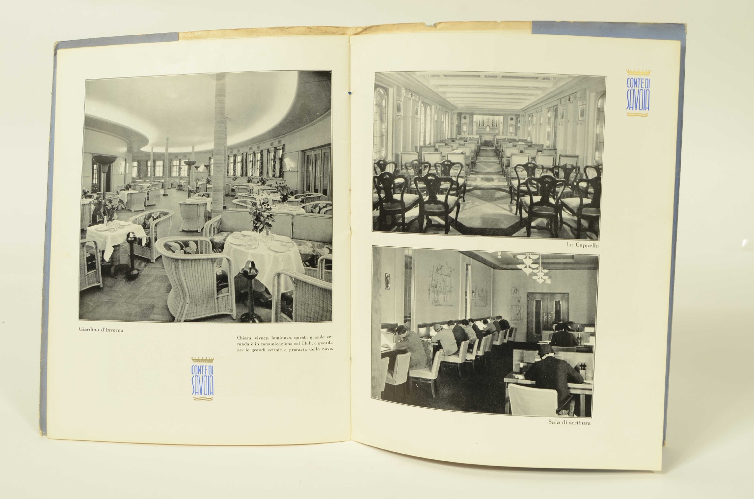 SS REX/R556-Brochure